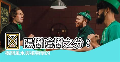 陽樹 陰樹|【陽樹 陰樹】 陽樹陰樹之分：揭開風水與植物學的奧秘